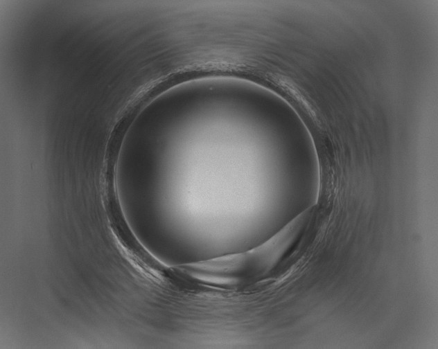 X0000076040677200610061445