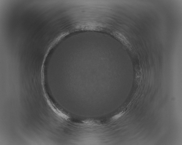 X0000076040678200610061445