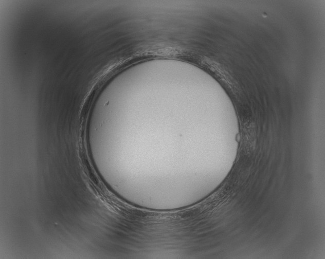 X0000076040679200610061445
