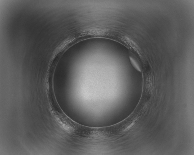 X0000076040682200610061445