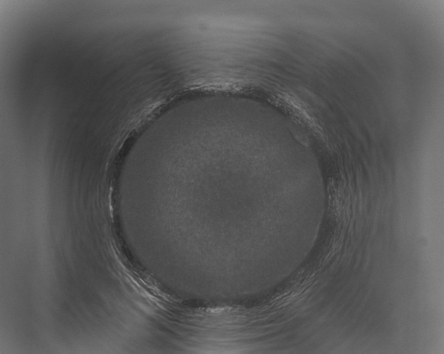X0000076040692200610061444