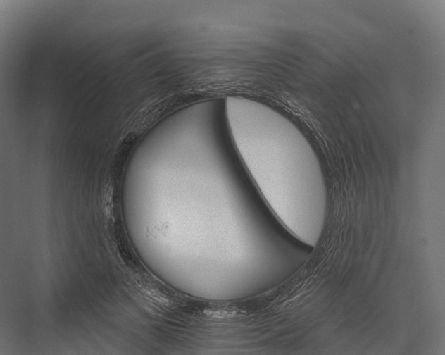 X0000076040693200610061444