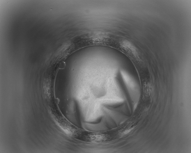X0000076040698200610061444
