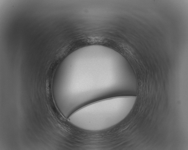 X0000076040700200610061444