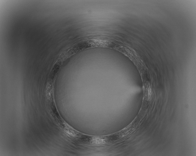 X0000076040701200610061444