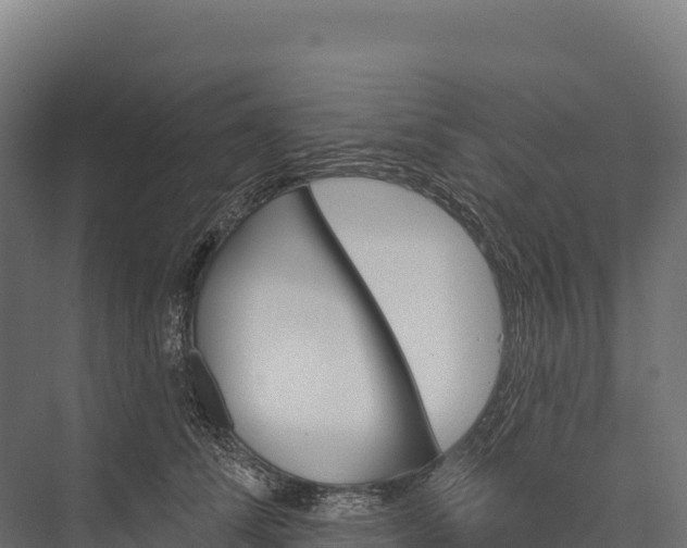 X0000076040708200610061444