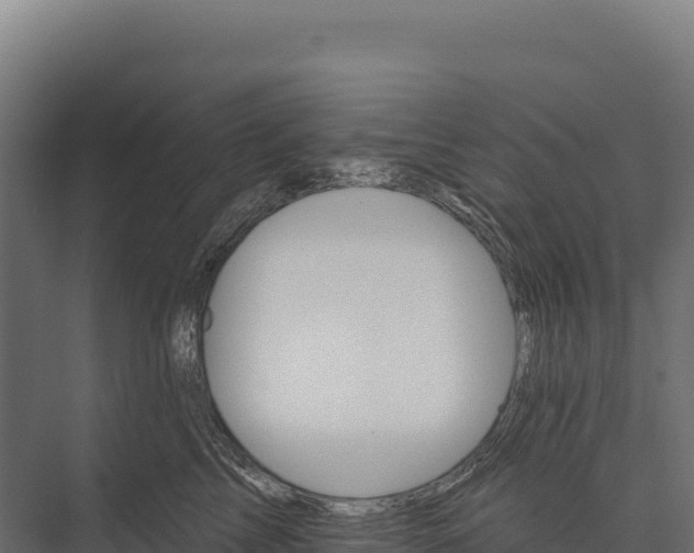X0000076040713200610061444