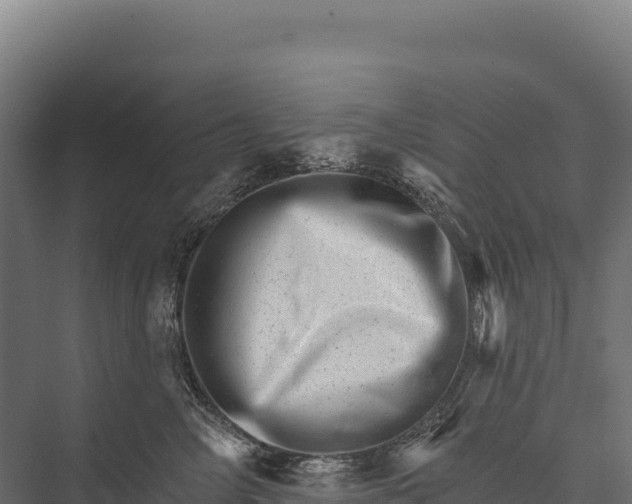 X0000076040714200610061444