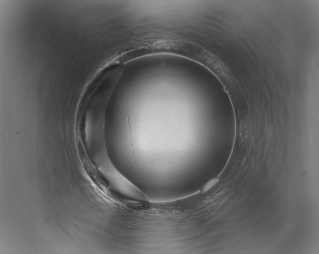 X0000076040722200610061443