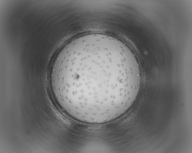 X0000076040725200610061443
