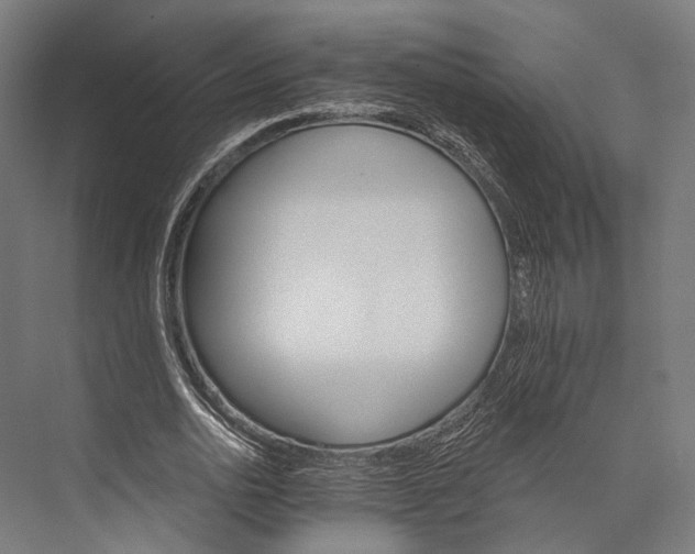 X0000076040726200610061443