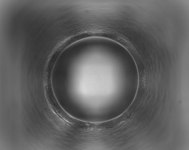 X0000076040732200610061443