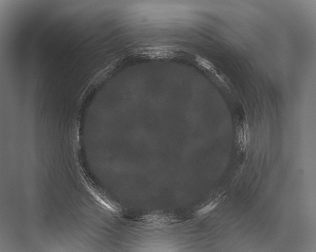 X0000076040733200610061443