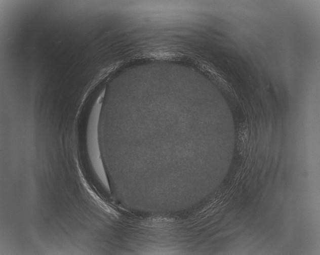 X0000076040734200610061443