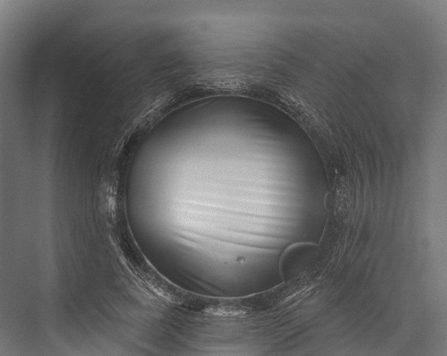 X0000076040739200610061443