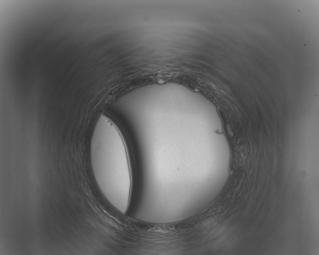 X0000076040756200610061444
