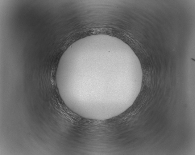X0000076040770200610061443
