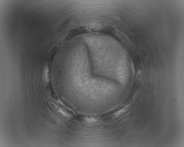 X0000076040772200610061443