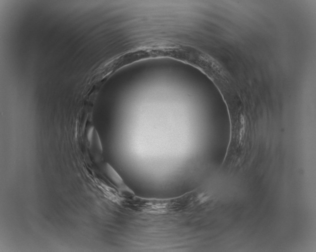 X0000076040773200610061443