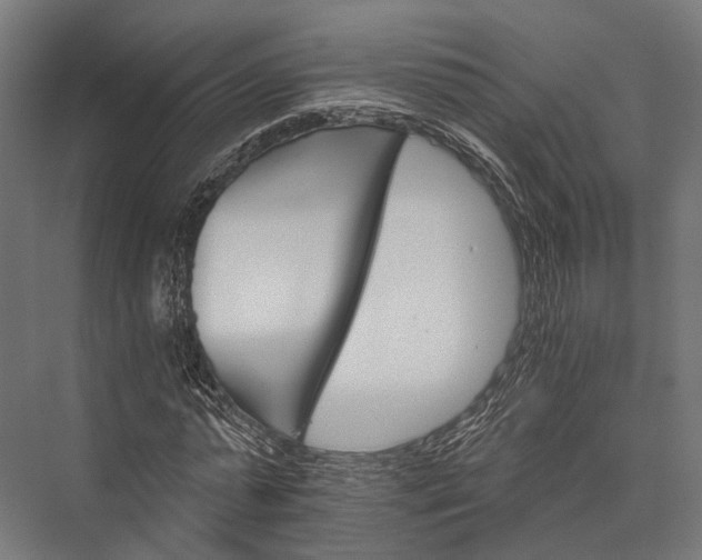 X0000076040775200610061443