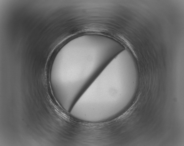 X0000076040779200610061443