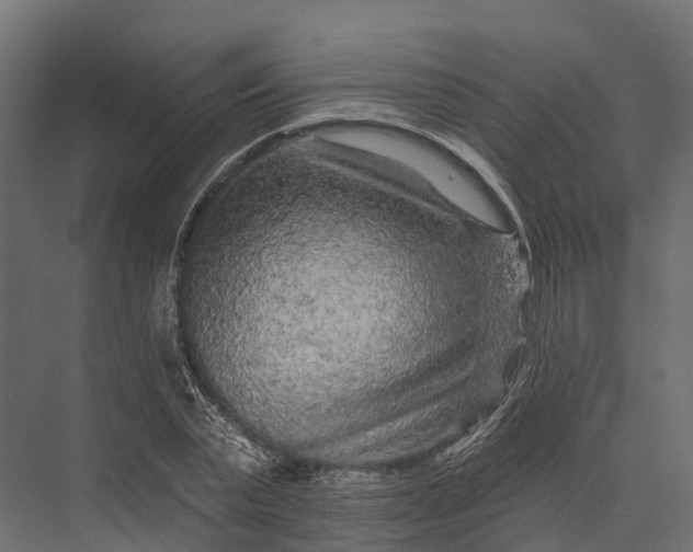 X0000076040783200610061443