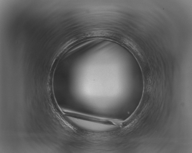 X0000076040786200610061443