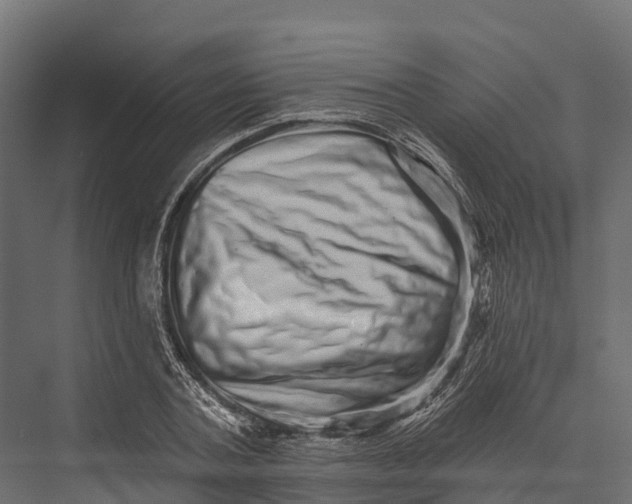X0000076040787200610061443