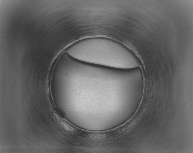 X0000076040789200610061443