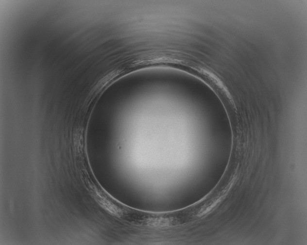 X0000076040793200610061443