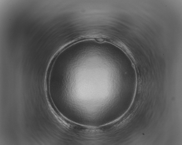 X0000076040795200610061443