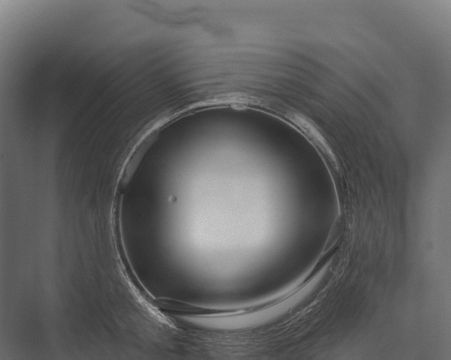 X0000076040805200610061442