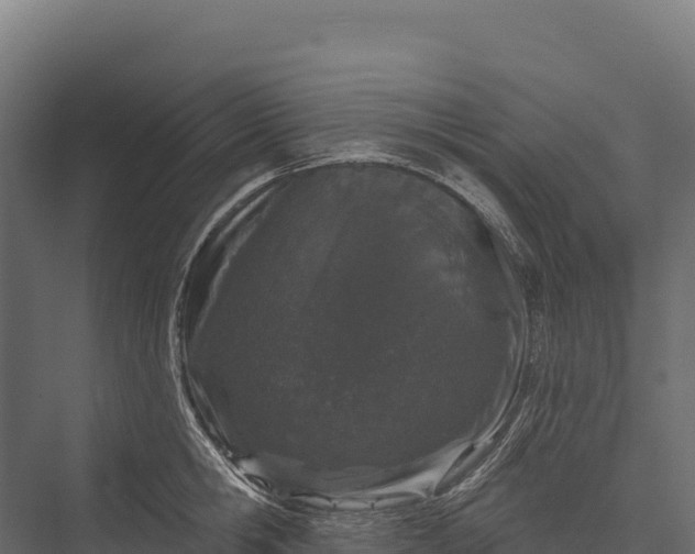 X0000076040806200610061442