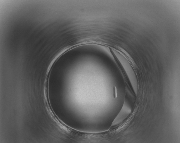 X0000076040812200610061442