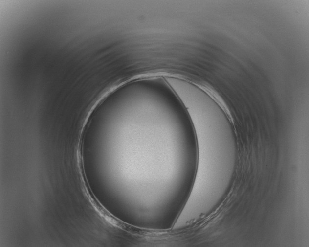 X0000076040813200610061442
