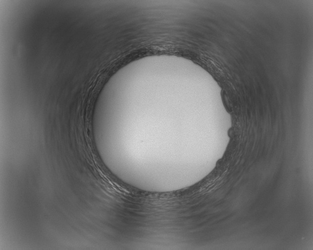 X0000076040817200610061441
