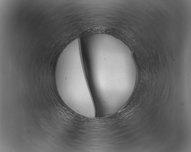 X0000076040818200610061441