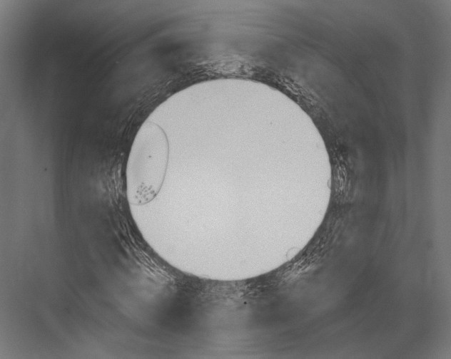 X0000076040820200610061441