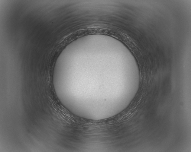 X0000076040821200610061442