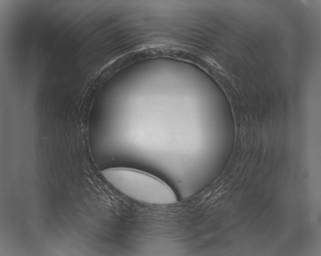 X0000076040822200610061442