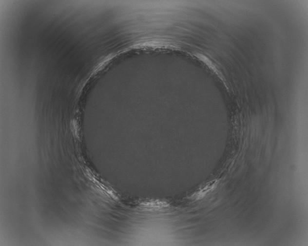 X0000076040823200610061442