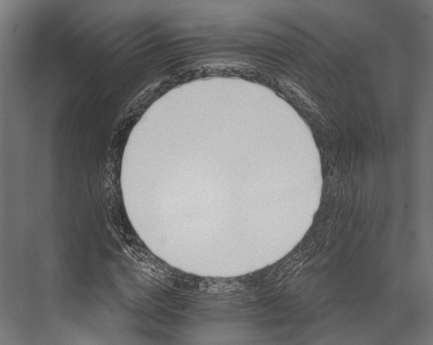 X0000076040824200610061442