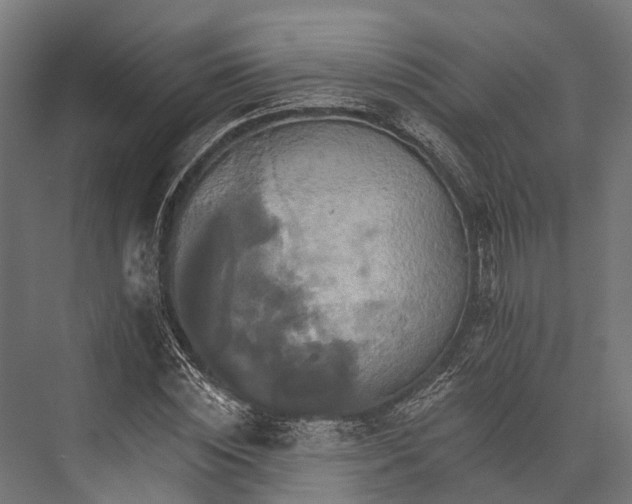 X0000076040828200610061442