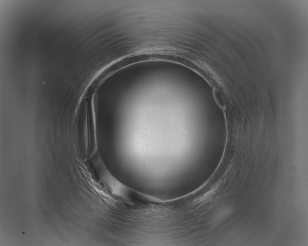 X0000076040830200610061442