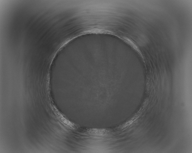 X0000076040831200610061442