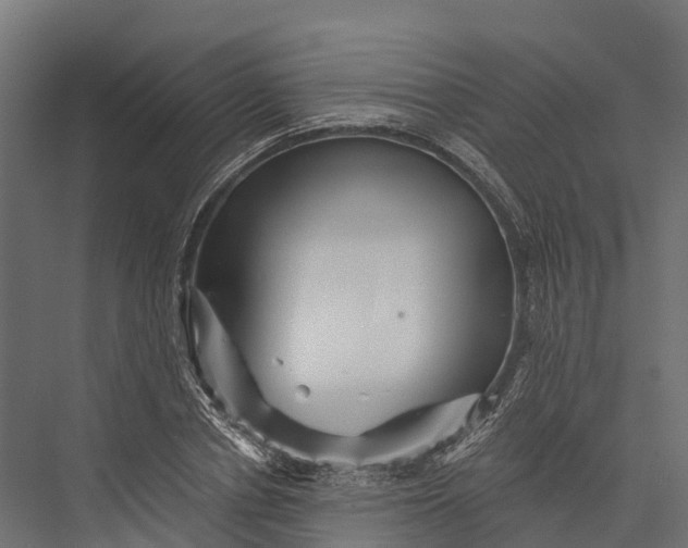 X0000076040834200610061442