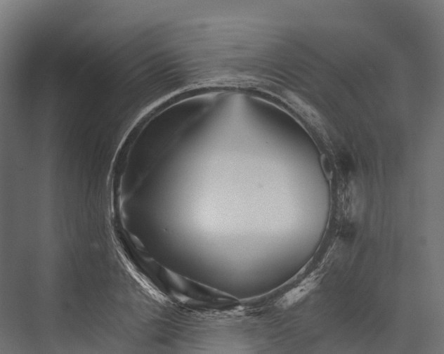X0000076040838200610061442