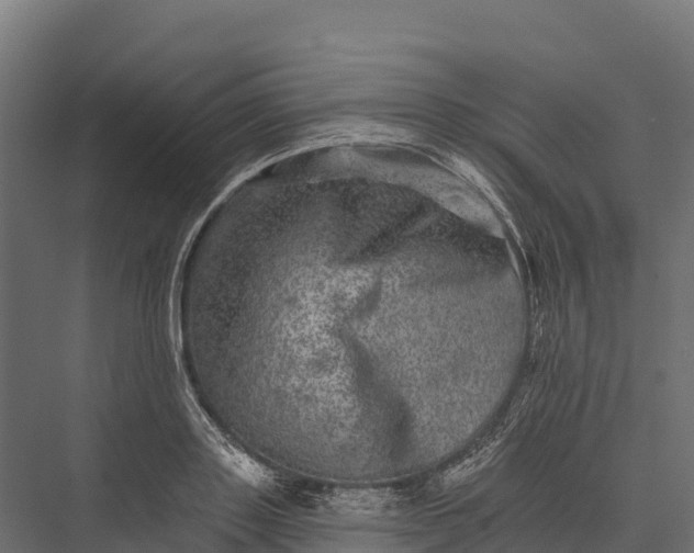 X0000076040843200610061442