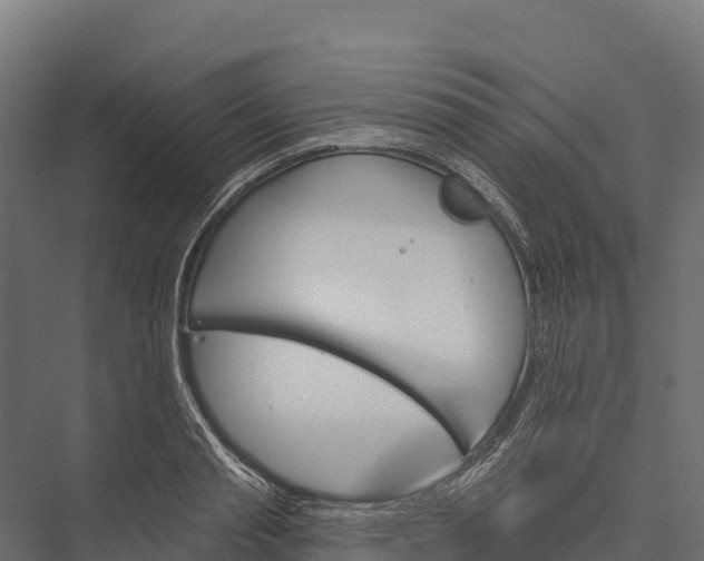 X0000076040845200610061442