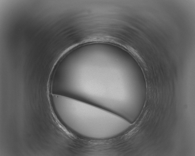 X0000076040846200610061442